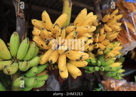 Lumajang, Indonesia - 13 gennaio 2022: Pisang Tanduk o Pisang Agung e Pisang Mas Kirana venditore, in un mercato tradizionale. Ottimo per lo sfondo Foto Stock