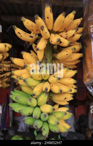 Lumajang, Indonesia - 13 gennaio 2022: Pisang Tanduk o Pisang Agung e Pisang Mas Kirana venditore, in un mercato tradizionale. Ottimo per lo sfondo Foto Stock