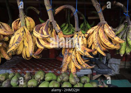 Lumajang, Indonesia - 13 gennaio 2022: Pisang Tanduk o Pisang Agung e Pisang Mas Kirana venditore, in un mercato tradizionale. Ottimo per lo sfondo Foto Stock