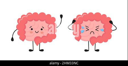Felice kawaii carattere di piccolo e grande intestino. Organo interno del corpo umano del tratto gastrointestinale. Viscere astratte. Illustrazione vettoriale Illustrazione Vettoriale