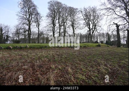 Waylands Smithy è un lungo barrato neolotico sulla Ridgeway, un antico percorso attraverso i Downs nel sud dell'Oxfordshire Foto Stock