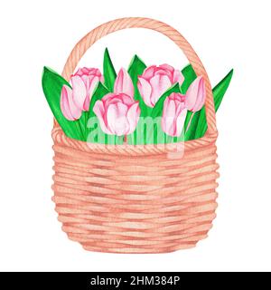 Cestino di tulipani rosa. Acquerello vintage illustrazione. Isolato su sfondo bianco. Per il tuo design. Adatto per cartoline, inviti di nozze. Foto Stock