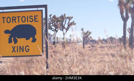 Tartaruga o tartaruga che attraversa il cartello stradale giallo, California USA. Segnaletica stradale Wild Animals xing. Fauna selvatica protezione, autostrada nel deserto deserto deserto selvaggio. Viaggio in auto nel parco nazionale di Joshua Tree Foto Stock