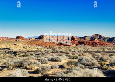 Rocce rosse e arancioni erose e vegetazione desertica nel Valley of Fire state Park, Nevada Foto Stock