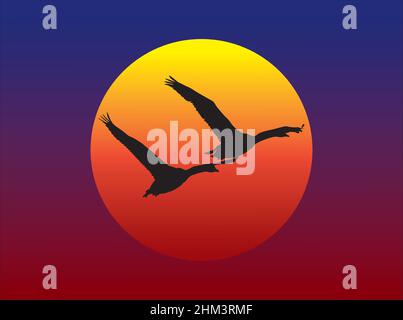 Grafica vettoriale che mostra le silhouette di due cigni che volano contro il sole del tramonto. Illustrazione Vettoriale