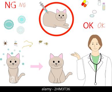 Donna veterinaria che spiega un vaccino contro FVRCP, rabbia, leucemia felina Foto Stock