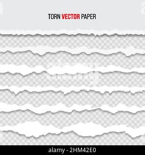 Modello per il bordo della carta strappata bianca. Strisce orizzontali strappate con ombre. Struttura della texture del bordo. Illustrazione vettoriale Illustrazione Vettoriale