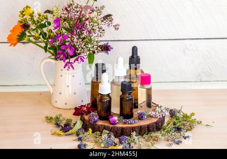 Grande gruppo di diverse bottiglie di olio essenziale sul tavolo, decorate con fiori e piante selvatiche fresche ed essiccate. Composizione lifestyle, vaso. Foto Stock