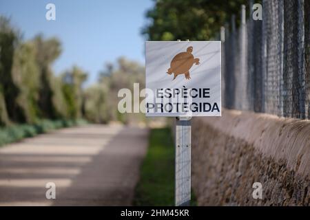 Avvertimento per la protezione della tartaruga spur-highed, Llucmajor, Mallorca, Isole Baleari, Spagna Foto Stock