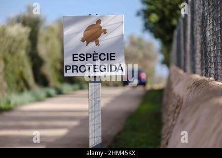 Avvertimento per la protezione della tartaruga spur-highed, Llucmajor, Mallorca, Isole Baleari, Spagna Foto Stock