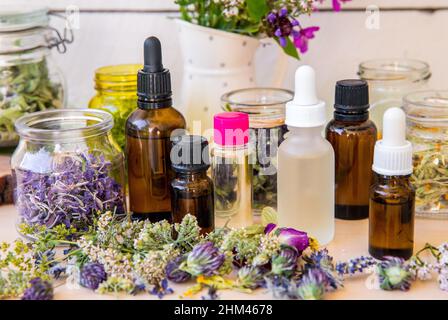 Grande gruppo di diverse bottiglie di olio essenziale sul tavolo, decorate con fiori e piante selvatiche fresche ed essiccate. Composizione lifestyle, vaso. Foto Stock