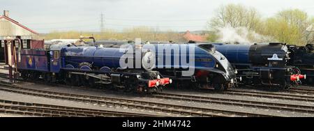 La linea di locomotive all'evento "Once in a blue moon" al Didcot Railway Centre, sede della Great Western Society, 5th aprile 2014.