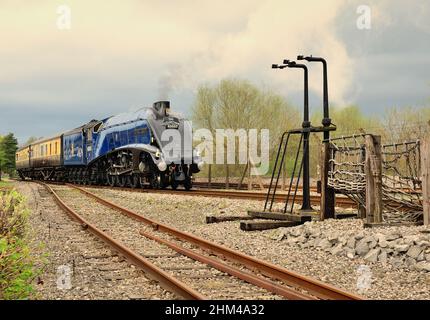 Classe A4 Pacifico n. 60007 Sir Nigel Gresley sulla linea dimostrativa alla manifestazione "una volta in luna blu" al Didcot Railway Centre, 5th aprile 2014. Foto Stock