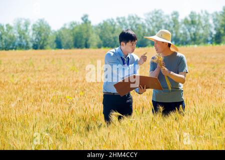 Ricercatori e agricoltori nel catcher in tecnologia di comunicazione Foto Stock