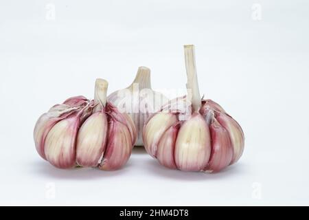 Tre teste di aglio (Allium sativum), con le loro unità ancora nel bulbo, una con la buccia e due senza, su sfondo neutro Foto Stock