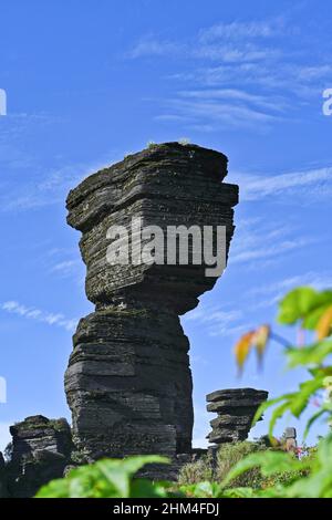 Guizhou fanjing montagne di pietra di fungo Foto Stock