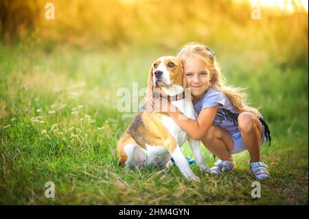 carina ragazza cammina con il suo cucciolo beagle nel parco al tramonto, migliore amico Foto Stock