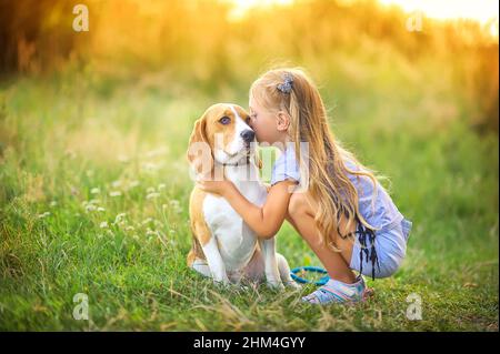 carina ragazza cammina con il suo cucciolo beagle nel parco al tramonto, migliore amico Foto Stock