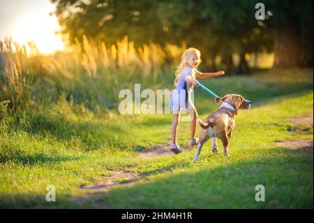 carina ragazza cammina con il suo cucciolo beagle nel parco al tramonto, migliore amico Foto Stock