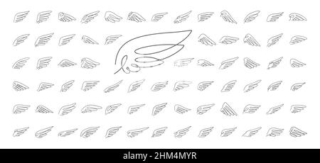 Disegno vettoriale a linea continua Wing Set. Moderno stile lineare minimalista e semplice Illustrazione Vettoriale