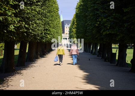 Percorso alberato, vista verso il Padiglione di Ercole nei Giardini del Castello di Rosenborg (Kongens Have); Copenhagen, Danimarca Foto Stock