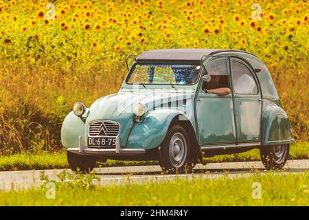 DIEREN, PAESI BASSI - 12 AGOSTO 2016: Immagine retrò di una Citroen Vintage 2CV su una strada locale di fronte ad un campo con fiori di girasole in fiore Foto Stock