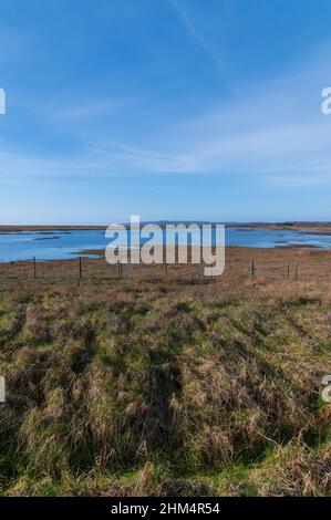 Una vista attraverso la riserva naturale di paludi di sale a Rye Harbour, Sussex, Regno Unito Foto Stock