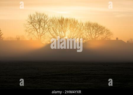Il sole sorge in un parco coperto dalla nebbia a Ilford, nella zona est di Londra, al mattino, quando la temperatura è calata. Foto Stock