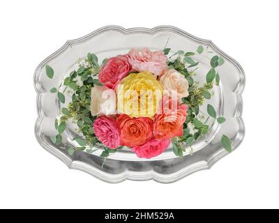 Decorazione floristica di rose colorate e foglie di eucalipto su un vassoio d'argento isolato su sfondo bianco. Vista dall'alto. Foto Stock