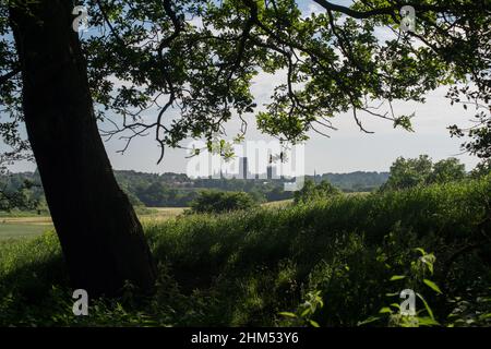 Cattedrale di Durham vista in lontananza attraverso rami sovrastanti di un albero Foto Stock