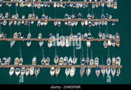 Vista aerea, porto di Alcudia, porto turistico, barche a vela, Port d'Alcúdia, Acque turchesi, Alcudia, Pla de na tesa, Cabaneta (SA), Maiorca, Isole Baleari, B. Foto Stock