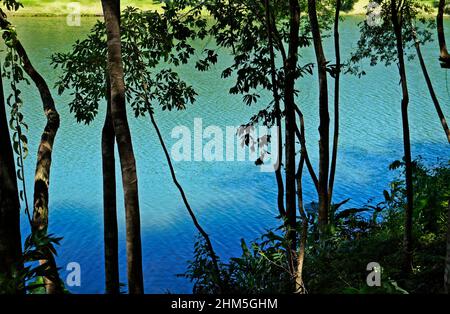 Foresta pluviale tropicale e lago a Minas Gerais, Brasile Foto Stock