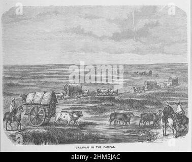 CARAVAN NELLE PAMPAS. - immagine presa da pagina 253 del 'viaggio in ogni Clime; o, viaggi, viaggi, e avventure in tutto il mondo ... Un sequel di “la Terra delineata con penna e matita” ... Con ... illustrazioni, ecc' Foto Stock