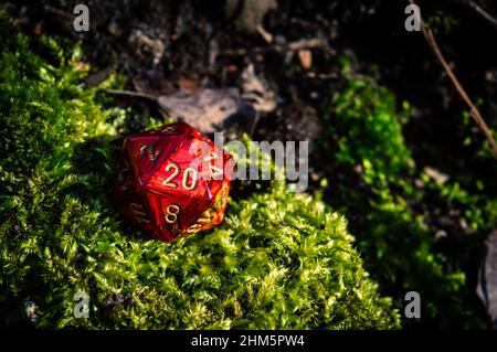 L'immagine ravvicinata di un gioco di ruolo a 20 lati rosso muore sulla muschio verde alla luce del sole Foto Stock