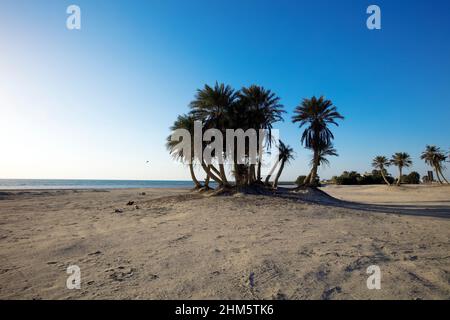 Bellissima vista di Umm Bab spiaggia QATAR Foto Stock