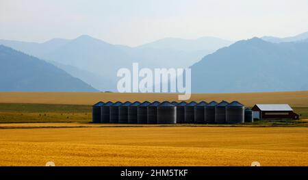 Diversi silos di grano e un campo di grano in fattoria con montagne sullo sfondo Foto Stock