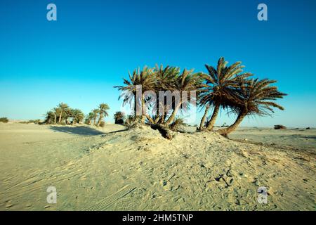 Bellissima vista di Umm Bab spiaggia QATAR Foto Stock