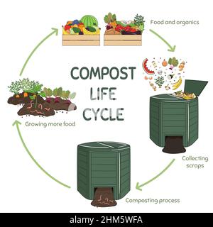 Infografica del cerchio di vita del composto. Ridurre in concime organico processo. Schema di riciclaggio di rifiuti organici dalla raccolta scarti di cucina per l'uso di compost per l'agricoltura. Illustrazione Vettoriale