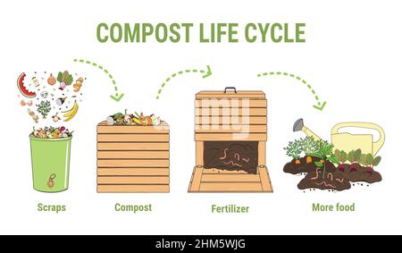 Infografica del cerchio di vita del composto. Ridurre in concime organico processo. Schema di riciclaggio di rifiuti organici dalla raccolta scarti di cucina per l'uso di compost per l'agricoltura. Illustrazione Vettoriale