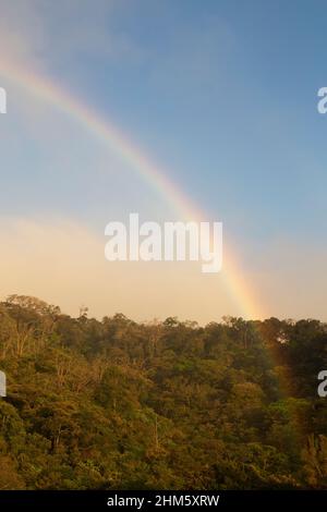 Arcobaleno sopra il baldacchino della Riserva della Foresta nuvola di Monteverde, Santa Elena, Costa Rica. Foto Stock