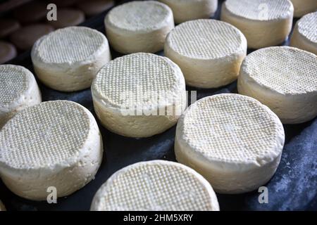 Primo piano di bellissimi formaggi freschi artigianali in un caseificio a Minas Gerais, Brasile. Concetto di cibo, cibo sano, salute, benessere, cucina, fresco Foto Stock