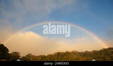 Arcobaleno sopra il baldacchino della Riserva della Foresta nuvola di Monteverde, Santa Elena, Costa Rica. Foto Stock