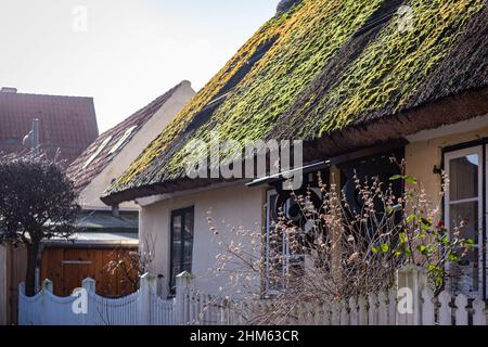 Tetto di paglia in cima a quelli gialli della splendida Dragor Danimarca Foto Stock