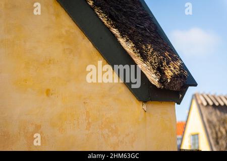 Tetto di paglia in cima a quelli gialli della splendida Dragor Danimarca Foto Stock