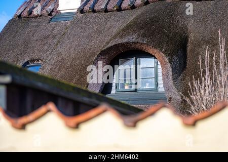 Tetto di paglia in cima a quelli gialli della splendida Dragor Danimarca Foto Stock