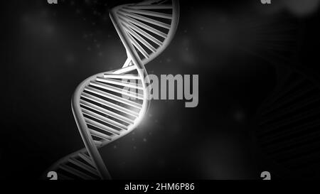 Modello DNA a doppia elica su sfondo nero, rendering 3D. Foto Stock