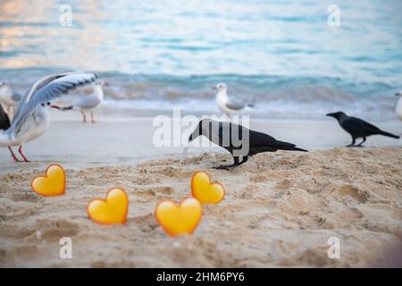 gabbiani e cuori gialli nella sabbia si ergono sul mare Foto Stock