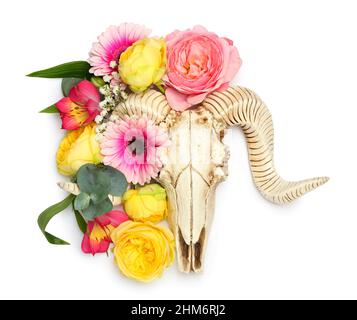 Cranio di pecora con fiori su sfondo bianco Foto Stock