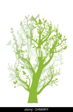 un albero singolo con silhouette di foglie con sfondo bianco Illustrazione Vettoriale