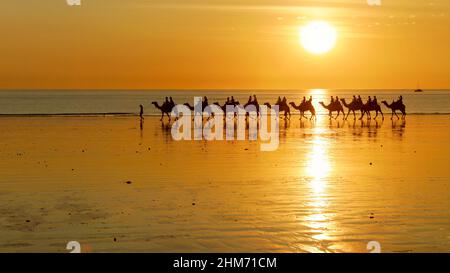 vista laterale dei turisti che cavalcano i cammelli al tramonto lungo la cabinosa spiaggia di broome Foto Stock